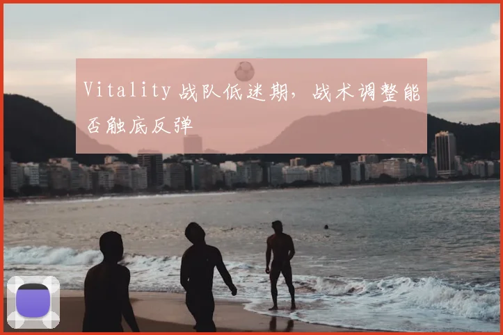 Vitality 战队低迷期，战术调整能否触底反弹