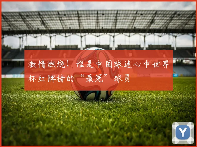 激情燃烧！谁是中国球迷心中世界杯红牌榜的“最冤”球员