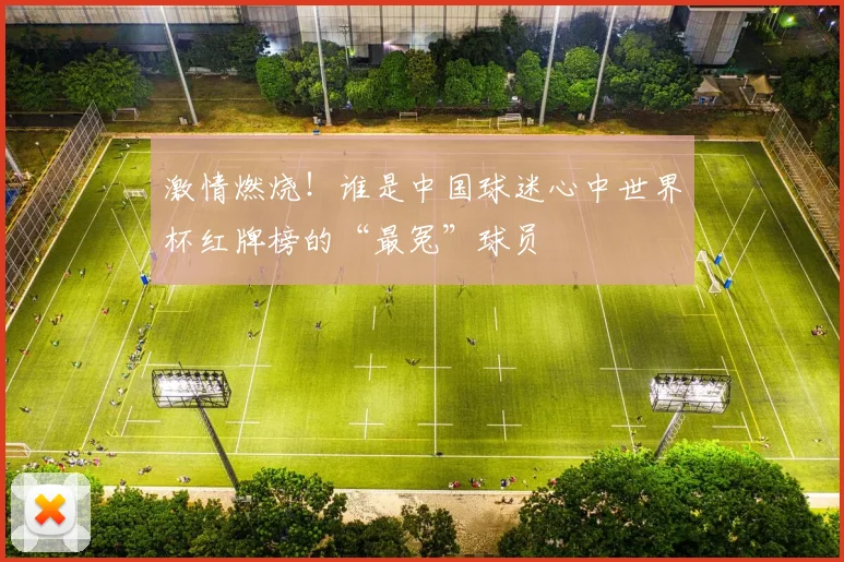 激情燃烧！谁是中国球迷心中世界杯红牌榜的“最冤”球员