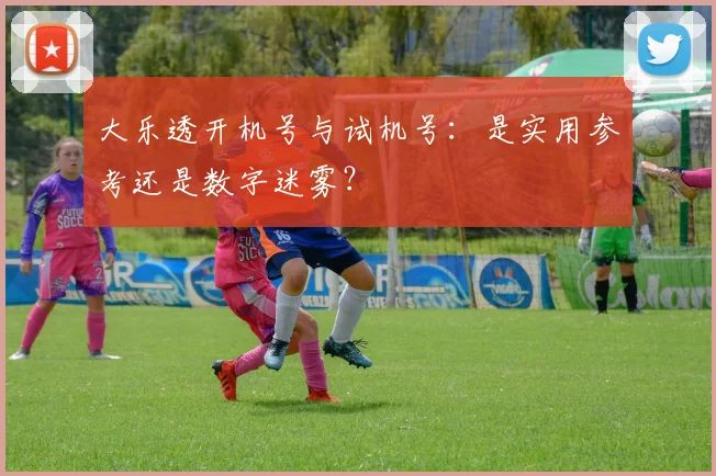 大乐透开机号与试机号：是实用参考还是数字迷雾？