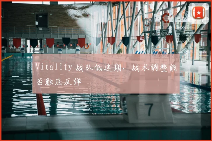 Vitality 战队低迷期，战术调整能否触底反弹